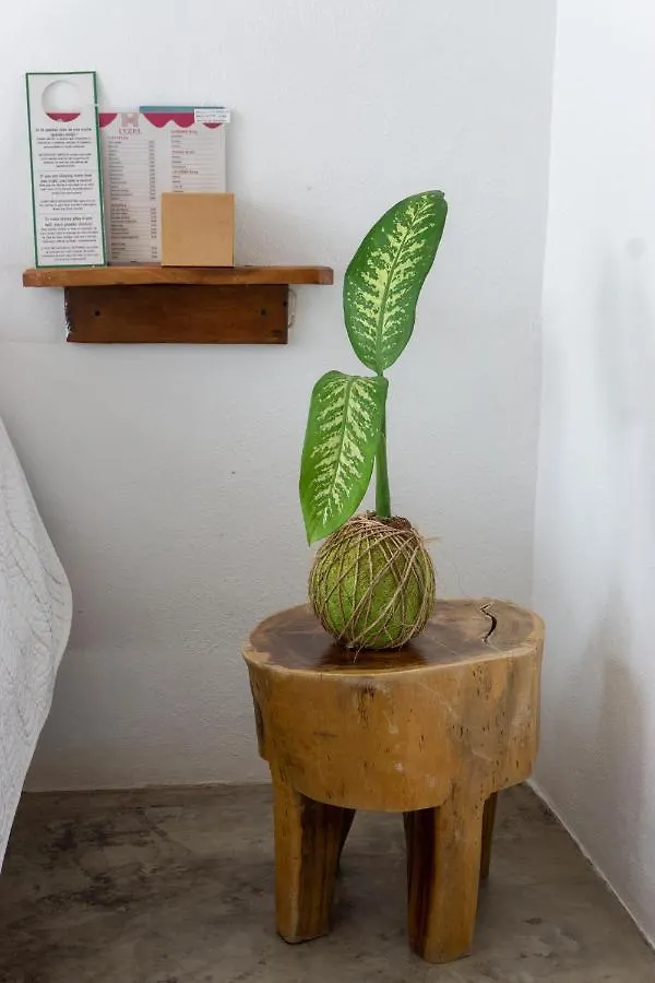 Xcabal Hotel boutique Bacalar 3*,